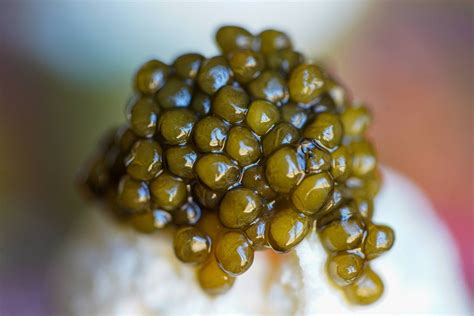 Caviar Nutrition Facts: Calories, Protein, Vitamins
