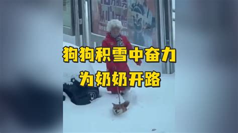 老奶奶挂在四楼外墙晾衣架上，社区：居民发现后报警救下_凤凰网视频_凤凰网