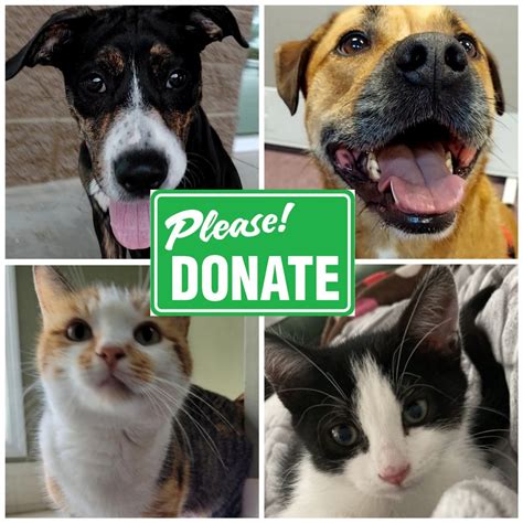 Gwinnett Humane Society relies solely on donations to carry out our ...