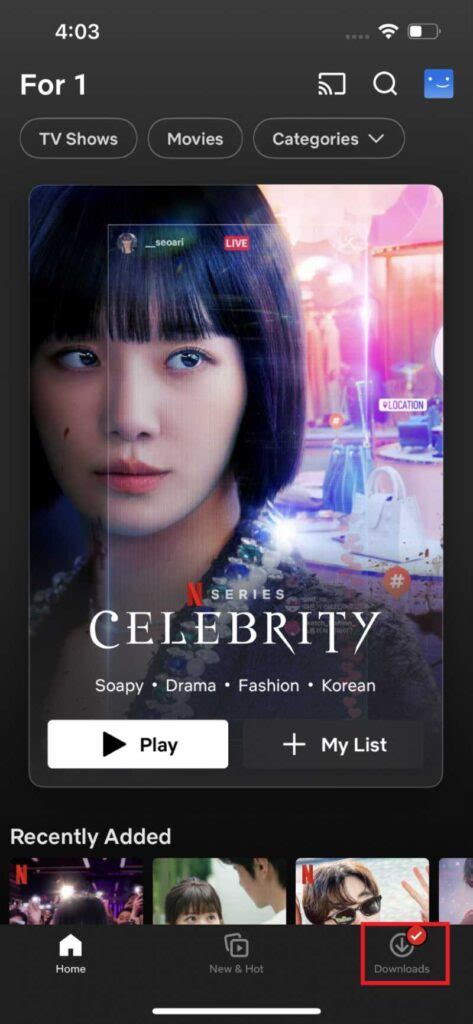 Access Netflix Downloads 的图像结果