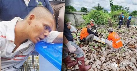 知名泰国女星西瓜坠河失踪，尸体已找到，打捞现场曝光 - 每日头条