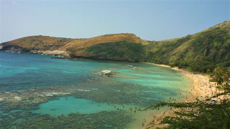 Pidgin English now an official language of Hawaii | CNN