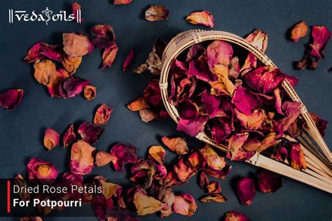 Dry Rose Petals For Potpourri - DIY Rose Potpourri At Home – VedaOils