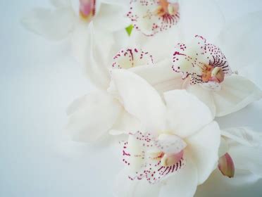 Funeral Homes In Bridgeton, New Jersey | Legacy.com