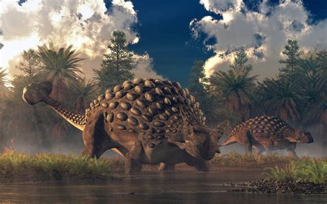 Meet the Ankylosaurus - The Dinosaur with a Club Tail - A-Z Animals