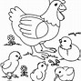 Image result for Baby Chicks Hatching