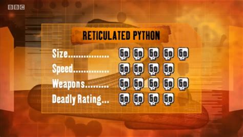 Image result for Deadly 60 Reticulated Python
