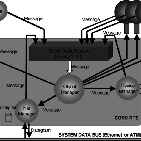 Cord Computer Simulation 的图像结果