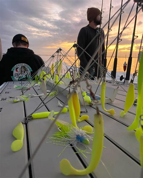 Atlantic Shoals Surf Shop (@atlantic_shoals) • Instagram photos and videos