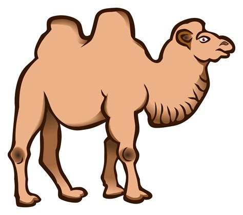 Clipart - camel - coloured