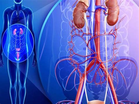 Ishaan Urology & Kidney Care Hospital