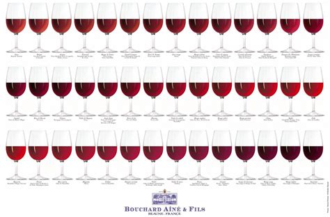 Wine Color – Complete Visual Guide - Social Vignerons