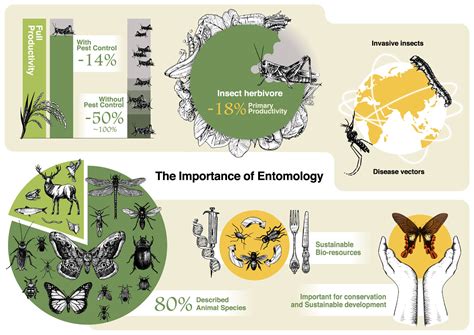Department of Entomology, National Taiwan University-The Importance of ...