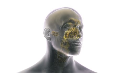 Image result for String ENT