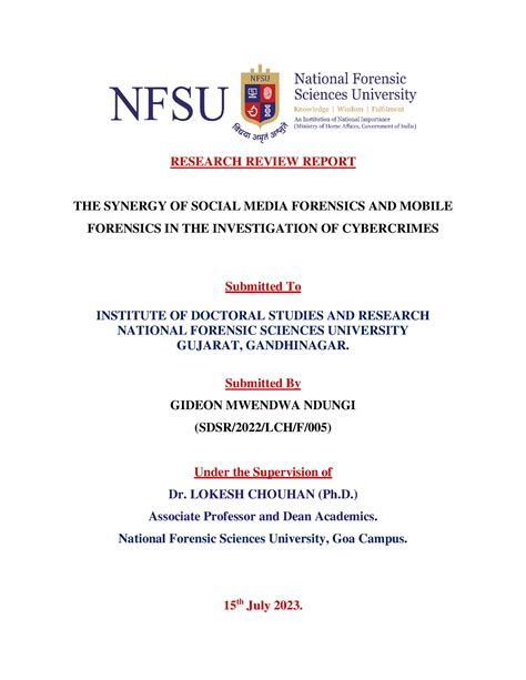 Research Review Report - RESEARCH REVIEW REPORT THE SYNERGY OF SOCIAL ...