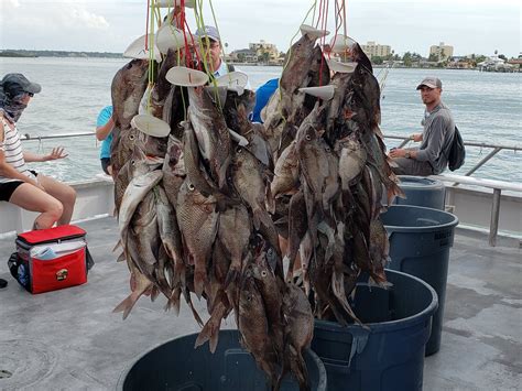 QUEEN FLEET DEEP SEA FISHING (2025) All You Need to Know BEFORE You Go ...