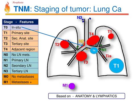 lung cancer grading Cancer staging breast tnm
