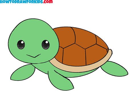 Image result for Simple Turtle Drawing