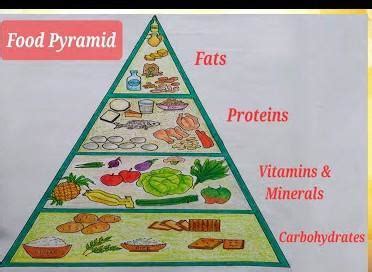 make a chart showing components of balance diet . collect picture of ...