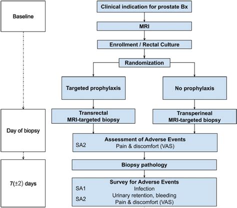 Protocol of a multicentre randomised controlled trial assessing transperineal prostate biopsy to ...