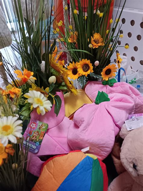 Szkoła Podstawowa Nr 5 im. Stanisława Staszica w Łomża, ul. Polna 40 A