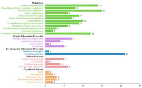 Proteomic Analysis of Mycelial Exudates of Ustilaginoidea virens