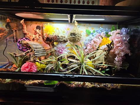 Corn Snake Enclosure with Fake Flowers | Snake enclosure, Corn snake ...