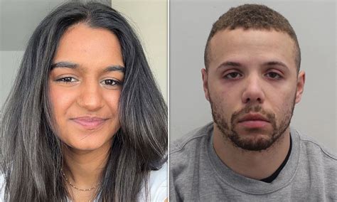Van driver admits killing student after crashing into her outside King ...