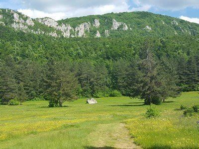 Sokobanja - 💚 Zeleno srce Srbije | Soko Banja
