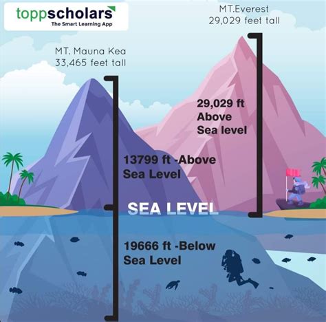 Welcome to the highest mountain on Earth! - English NEWS