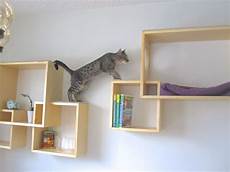 Cat Bookshelves by Modern Cat Tree Alternatives For Up To Date Pets Cat Bookshelves