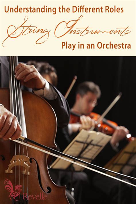 Image result for Classical String Instruments Orchestra