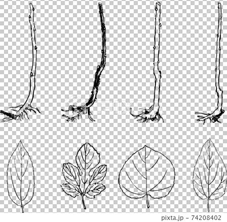 Image result for Un Sample Script