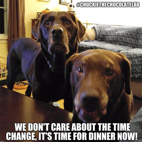 It S Time For Change Meme at William Woodard blog