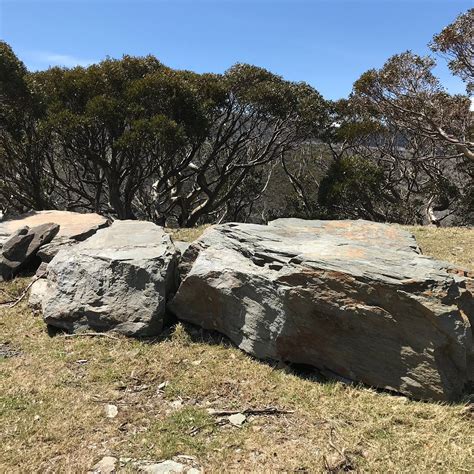 BLOWHARD HUT (2026) All You Need to Know BEFORE You Go (with Photos ...