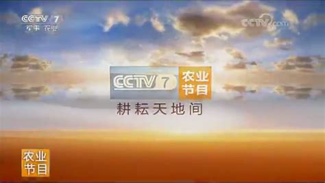 cctv7节目表中央电视台农业频道节目单Word模板下载_编号lobybozm_熊猫办公