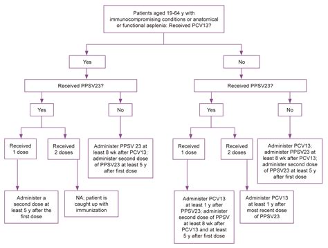 Pneumococcal – Immunization Coalition of Delaware