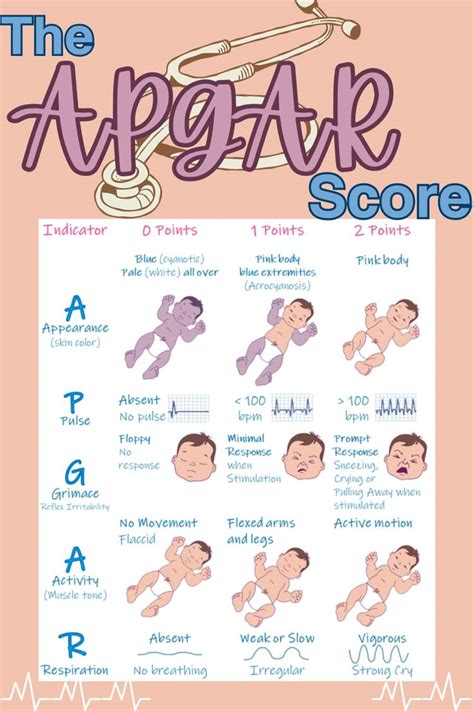 Image result for Apgar Score Notes
