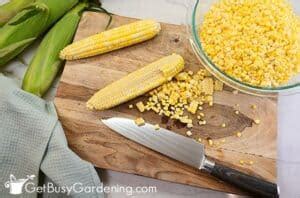 Image result for Canning Corn Tutorial