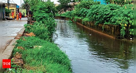 4 Rivers In Twin Cities Highly Polluted, Min Tells House | Bhubaneswar ...