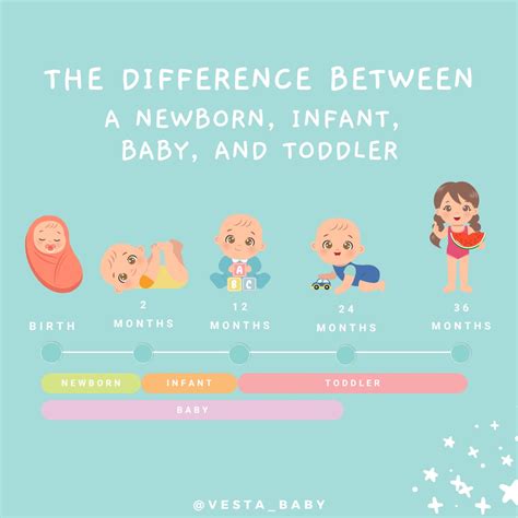 What is the difference between a newborn, baby and infant? – Vesta Baby
