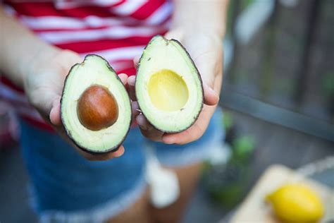 Image result for Simple Avacodo