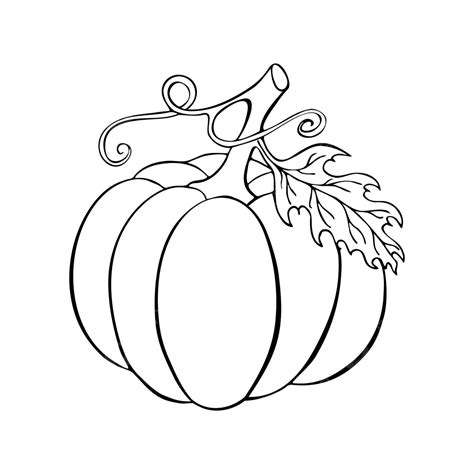 Black Silhouette Doodle Pumpkin Outline Drawing With White Backgroundperfect For Halloween And ...