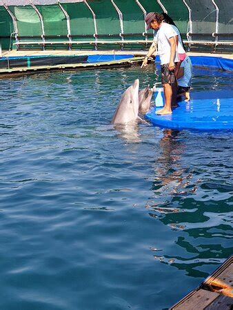 ChangeToTravel (Marmaris) - 2022 What to Know Before You Go (with ...