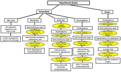 Current Treatment of Myasthenia Gravis