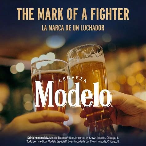 Modelo Especial Mexican Lager Import Beer 24 pk Bottles - Shop Beer at ...