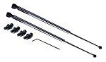 Gas Struts | RS