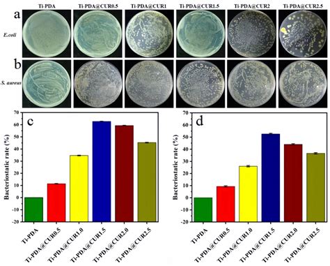 Boosting the Anti-Infection Ability of Titanium Implants by Coating ...