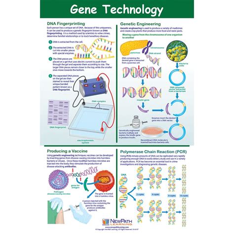 Biotechnology Poster Design 的图像结果