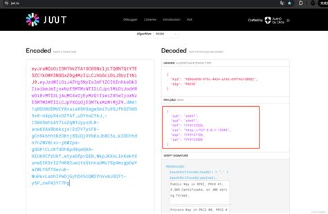 Spring Security OAuth2 的图像结果